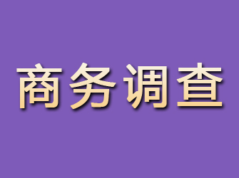 佳木斯商务调查